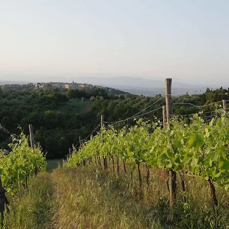 Отель Rodilosso *